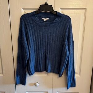 American Eagle Soft Crew Neck Blue Ribbed Women's Sweater